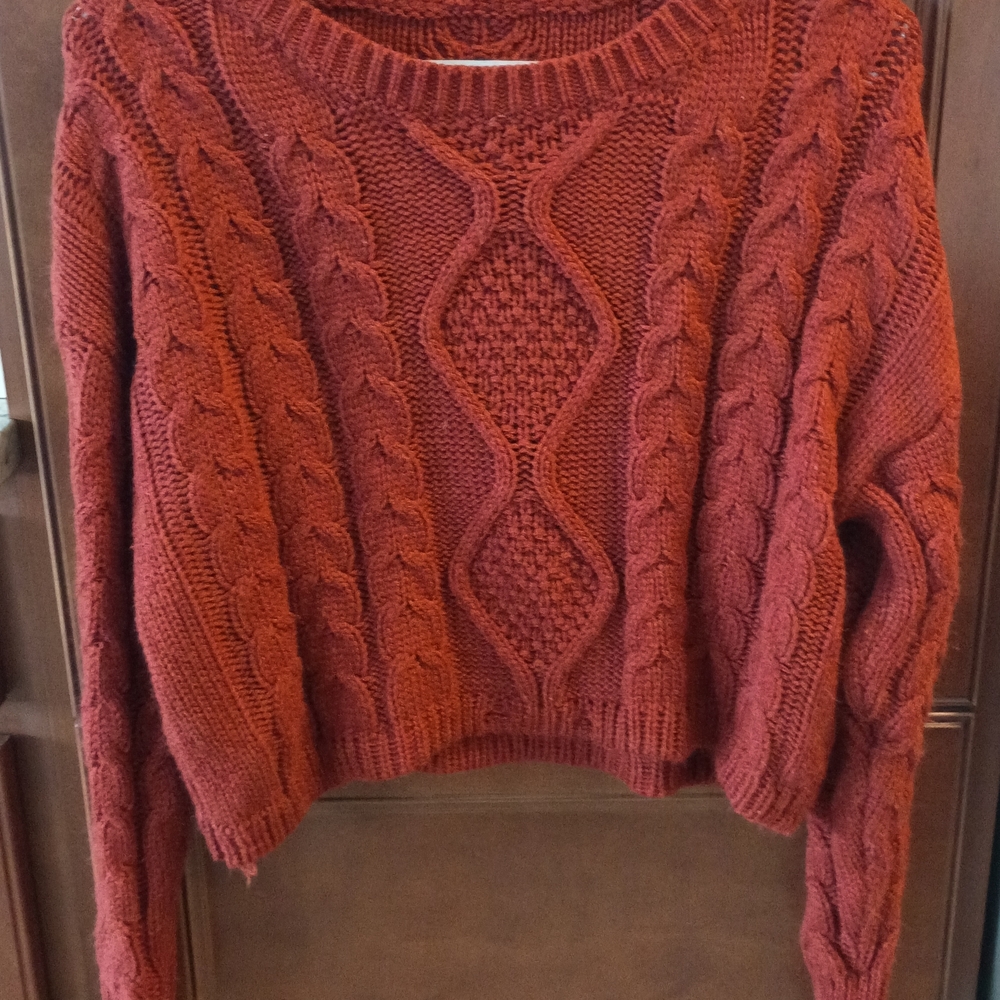Cable Knit Sweater in Rust
